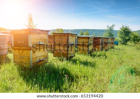 Similar – Foto Bild bees and apiary