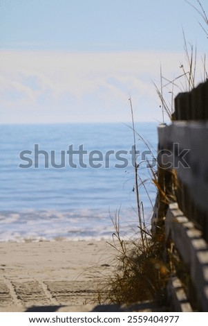 Similar – Foto Bild Zur Ruhe kommen. Düne Gras