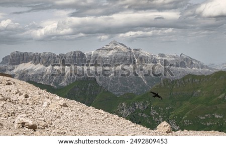 Image, Stock Photo View of the Piz Corvatsch in the Engadin in Graubünden in the evening