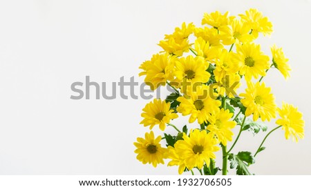 Image, Stock Photo Yellow chrysanthemum bouquet on yellow background. Copy space