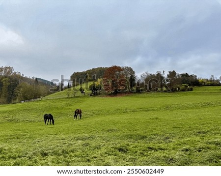 Similar – Foto Bild Ackerland umgeben von grünen Bäumen