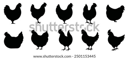 Set of vector chicken black silhouettes isolated on white background