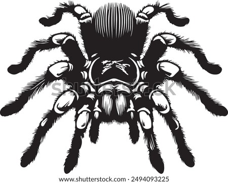 Tarantula silhouette vector style for the illustrator