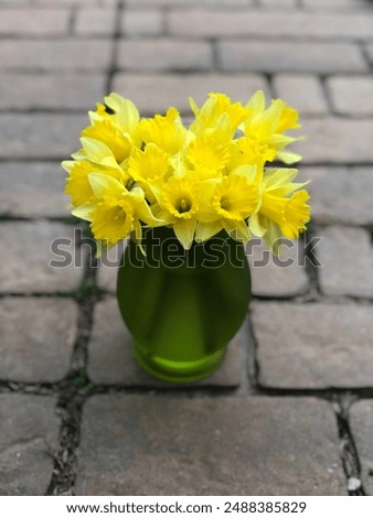 Similar – Image, Stock Photo Small yellow flowers on a gray rust colored house wall