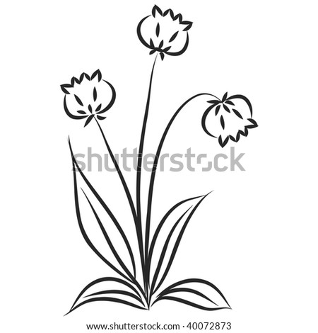 Abstract floral background with foliage and flower tulip