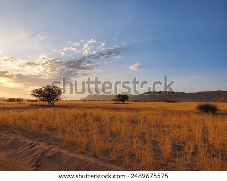 Image, Stock Photo Beautiful sunrise at Damaraland, Namibia. Group of people seen from their back walking up a mountain.