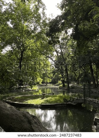Similar – Image, Stock Photo Pitoresque tree by a misty river, somewhere between fantasy and depth psychology