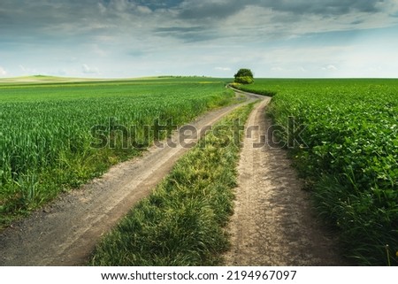 Similar – Image, Stock Photo Path through the green in spring