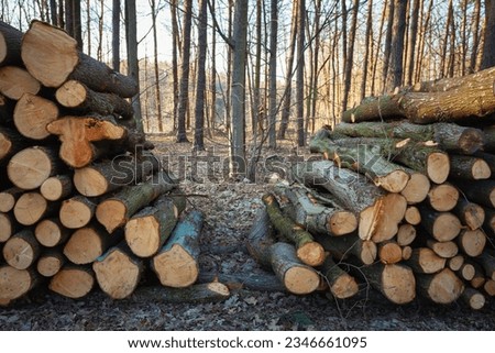 Similar – Foto Bild Holzvorrat hinter Bäumen