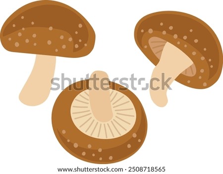 Shiitake mushroom illustration set 2.
A set of shiitake mushrooms.