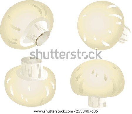 Mushrooms - Gradient touch illustration set.
I drew some delicious looking mushrooms.