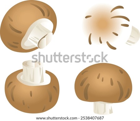 Brown mushrooms - Gradient touch illustration set.
I drew some delicious looking mushrooms.