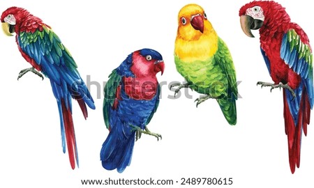 Colorful parrots, red macaw, set tropical birds, isolated white background, watercolor illustration. jungle design