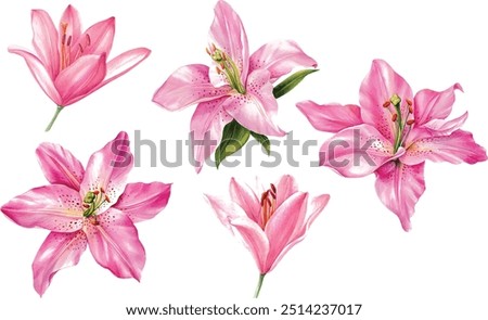 Similar – Image, Stock Photo Pink flower pink flowers in the garden in front of pink green background Macro