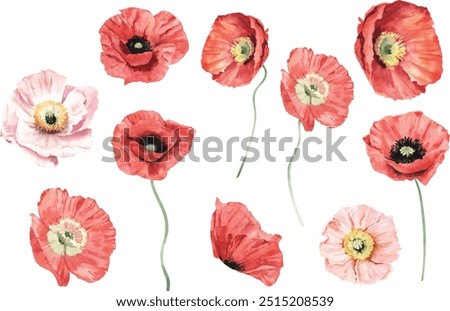 Similar – Image, Stock Photo Flowering poppy at the edge of the field (Island of Rügen)