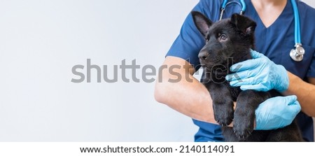 Cropped image of handsome male veterinarian doctor with stethoscope holding cute black german shepherd puppy in arms in veterinary clinic on white background banner Photo stock © 