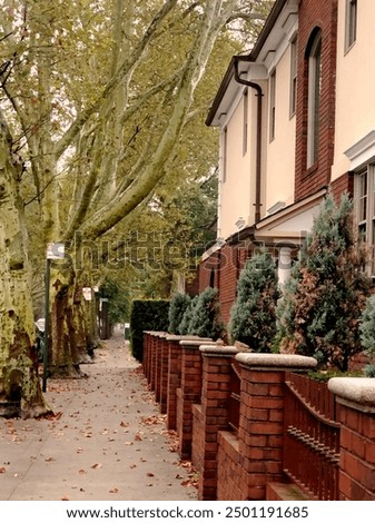 Similar – Image, Stock Photo Brooklyn Backyard