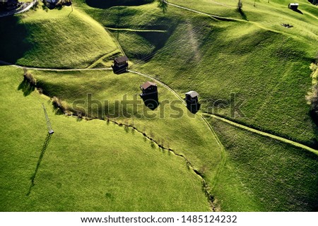 Similar – Foto Bild Grüne Felder in den Schweizer Alpen im Sommer auf dem Plateau der Schynige Platte