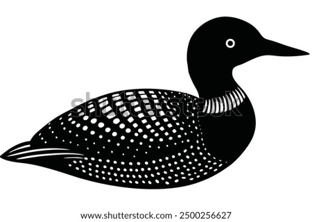 Common Loon on White Background Vector - Elegant Bird Illustration