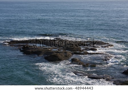 Rough ocean rocks with multiple birds resting on them in ocean