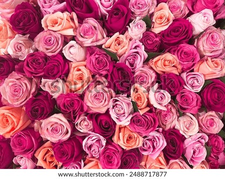 Similar – Image, Stock Photo Bouquet of red roses