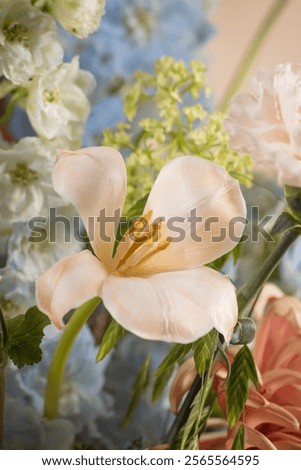 Similar – Image, Stock Photo Peach Tulip Petal Flower