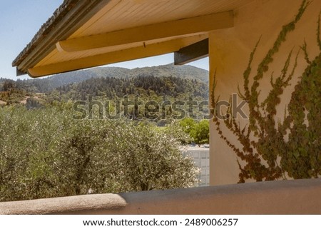 Similar – Image, Stock Photo wine romance Field Tree