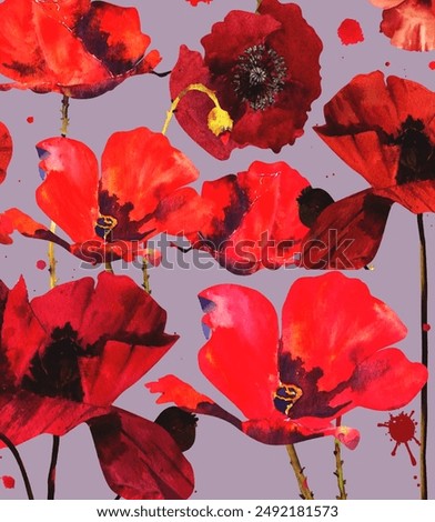 Similar – Image, Stock Photo Flowering poppy at the edge of the field (Island of Rügen)