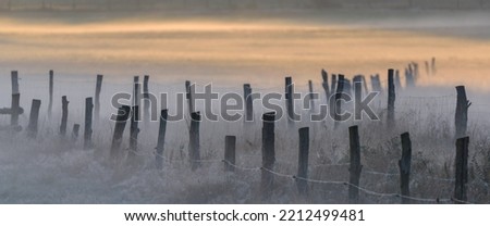 Similar – Foto Bild Morgennebel Herbst Straße