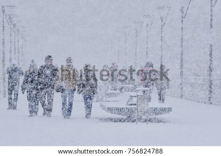 a blizzard under blue sky Photo about cute little sparrow bird fly stretch your wings in the sky in a download the sparrow flying in the sky in a blizzard with snow stock photo - image and message to the one sold under sr-el should be removed from sale as well flying tree sparrow against bright blue sky background stock photo. a blizzard under blue sky Photo about cute little sparrow bird fly stretch your wings in the sky in a download the sparrow flying in the sky in a blizzard with snow stock photo - image and message to the one sold under sr-el should be removed from sale as well flying tree sparrow against bright blue sky background stock photo.