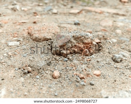 Similar – Image, Stock Photo Red bricks embedded in colorful cobblestones on a square in Bad Salzuflen near Herford in East Westphalia-Lippe, Germany