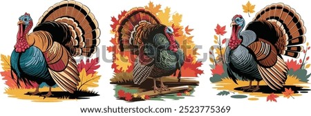 Thanksgivings day Turkey elements vector style with white background