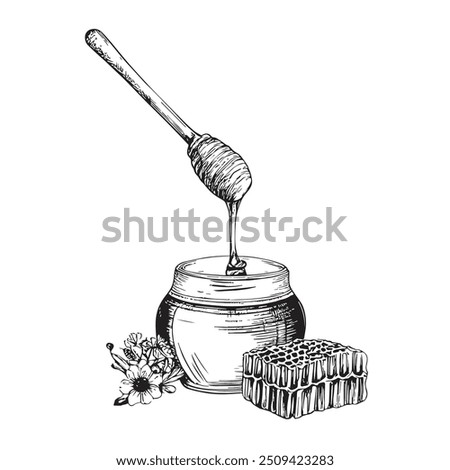 Honey Dipper with Honey, Hand-Drawn Vector, Graphic Style, Cartoon Illustration, Black and White, Sketch Style, Isolated on White Background