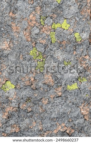 Similar – Image, Stock Photo Green lichen on the annual rings of an old tree trunk on a farm in Rudersau near Rottenbuch in the district of Weilheim-Schongau in Upper Bavaria