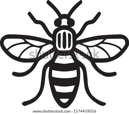 Bee as black and white icon can be used as a logo of Manchester city