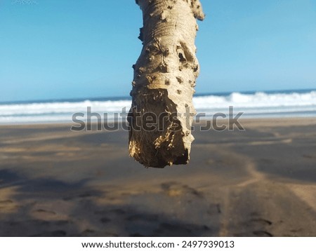 Similar – Image, Stock Photo Tree trunks hang over the surface of the water of Lake Baltieji Lakajai in Labanoras Regional Park, Lithuania. Picturesque autumn landscape