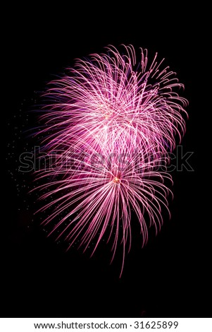 Pink fireworks flower exploding in a black night sky
