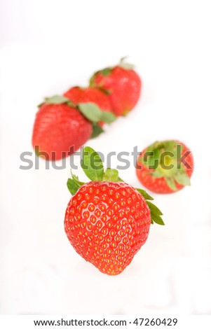 Five strawberries isolated over white background, one in focus in foreground and four blurry in background