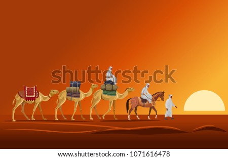 Caravan of camels walking in the desert on a sunset background. Vector illustration