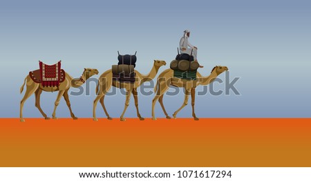 Caravan of camels in the desert against the background of a dimming sky. Vector illustration