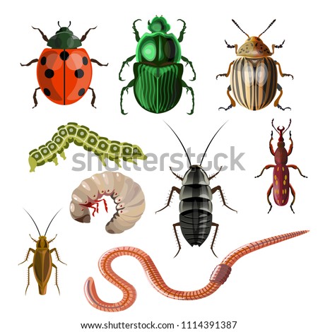 Set of different insects and worms. Vector illustration isolated on white background