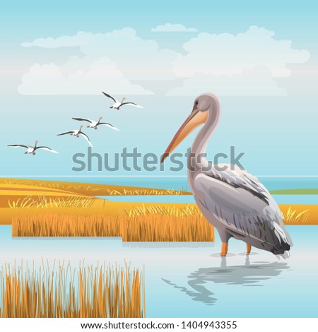 Water landscape with a pelican and a flying flock of birds. Realistic vector illustration