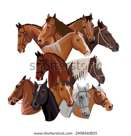 Set of horse portraits. Collection of equestrian heads. Vector illustration isolated on a white background in a realistic style