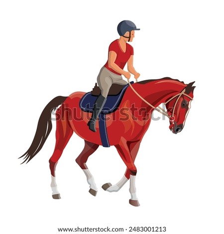 Female horseman on dressage horse. A rider riding a bay stallion. Horse school. Training process. Vector illustration isolated on a white background in a realistic style