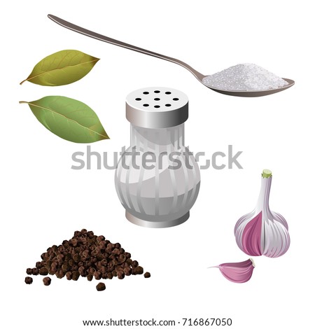 Spice set: salt, sugar, pepper, garlic, bay leaf. Vector illustration