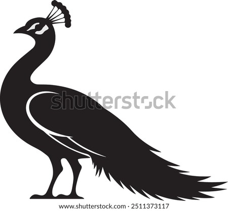 Peacock Silhouette Vector with Smooth Elements and Clear Design, Black and White Peacock Logo and Silhouette Designs