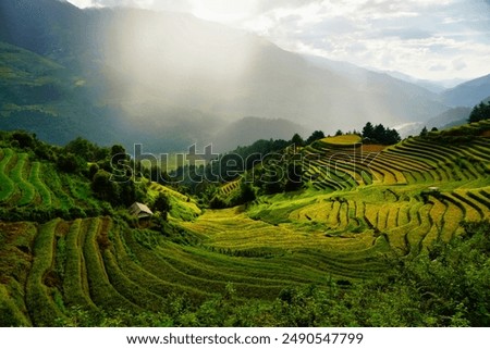 Similar – Foto Bild Reisfelder bei Sapa, Vietnam