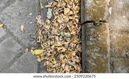 Similar – Image, Stock Photo unused land in the middle of the city