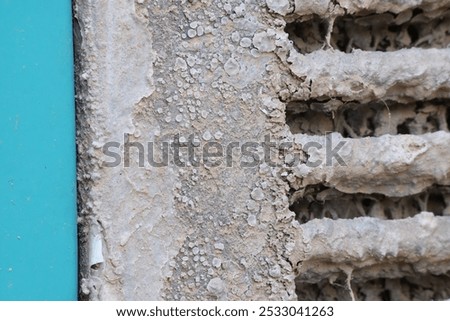 Similar – Image, Stock Photo Age leaves its mark age