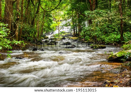 Tropical rainforest landscape with flowing river, rocks and jungle plants. Chiang Mai province, Thailand